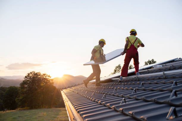Best Roof Ventilation Installation  in Collingdale, PA
