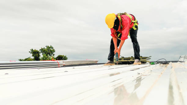 Best Wood Shake Roofing  in Collingdale, PA