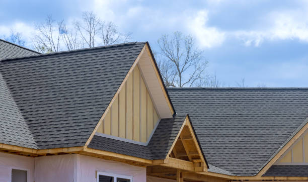Best Asphalt Shingles Roofing  in Collingdale, PA